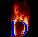 Glawantex D
